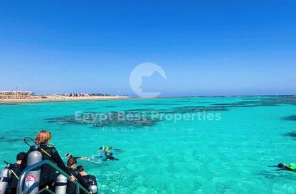 Chalet - 3 Bedrooms - 3 Bathrooms for sale in Blanca Gardens - Soma Bay - Safaga - Hurghada - Red Sea
