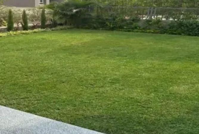 72451365 - صورة العقار 3