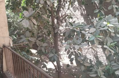 Apartment - 2 - 2 for rent in Bahgat Ali St. (Ebn Al Nabeh) - Zamalek - Cairo