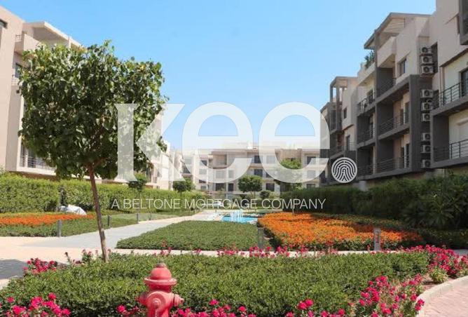 98826283 - Property Image 2
