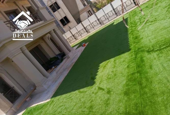 64910195 - Property Image 3