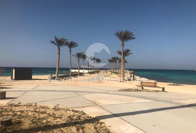 105171207 - صورة العقار 3
