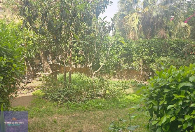 63892361 - الصورة الرئيسية للعقار