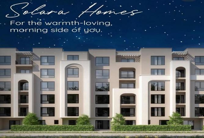 67729443 - Property Image 3