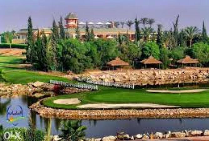 56497142 - Property Image 2