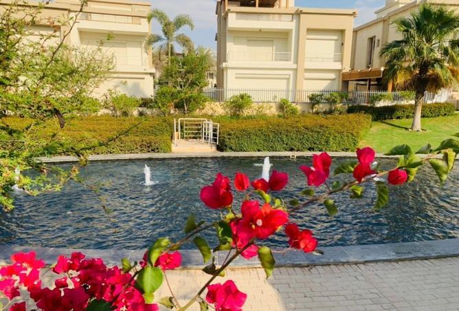 67469681 - Property Image 3