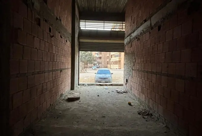 113830646 - Property Image 2