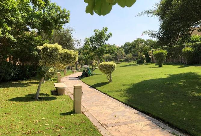 64126887 - صورة العقار 2