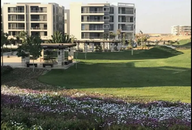 117284371 - صورة العقار 3
