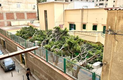 Apartment - 3 Bedrooms - 2 Bathrooms for sale in Noterdam St. - Glim - Hay Sharq - Alexandria
