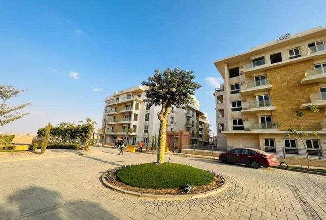 8395314 - Property Image 3