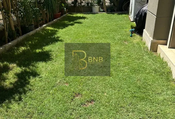120876664 - صورة العقار 2