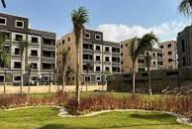 8521529 - Property Image 3