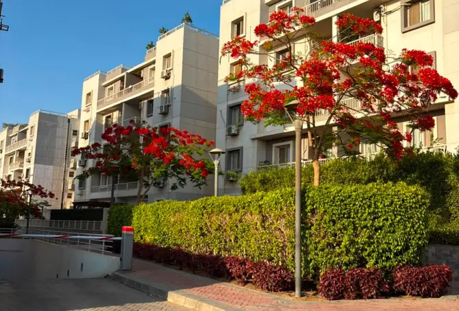 118288134 - صورة العقار 2