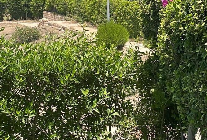 77057170 - Property Image 3