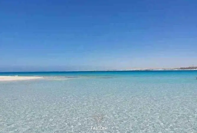 83398302 - صورة العقار 3