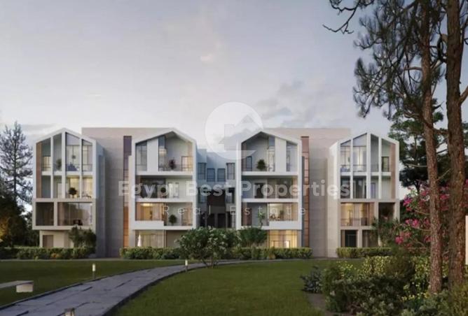 8541781 - Property Image 2