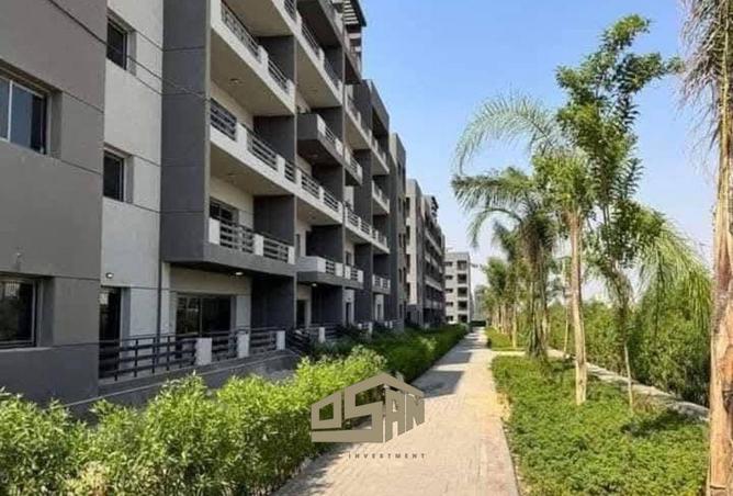 8650191 - Property Image 3