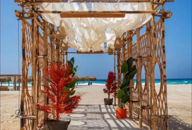 53723966 - Property Image 2