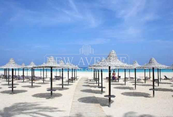 99392581 - صورة العقار 2