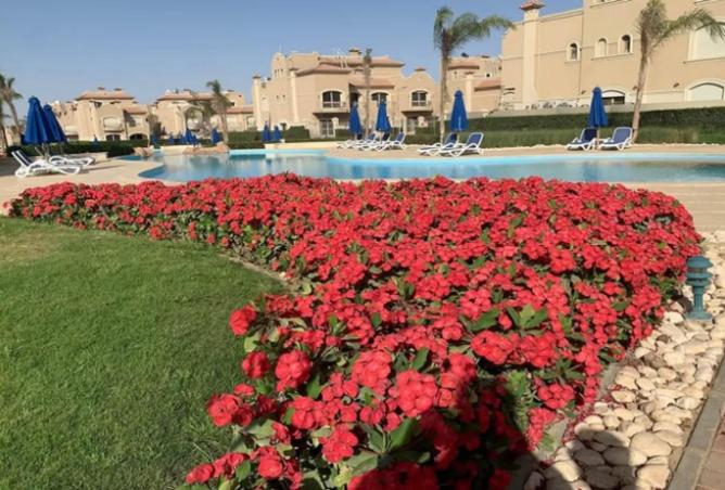 8546861 - الصورة الرئيسية للعقار