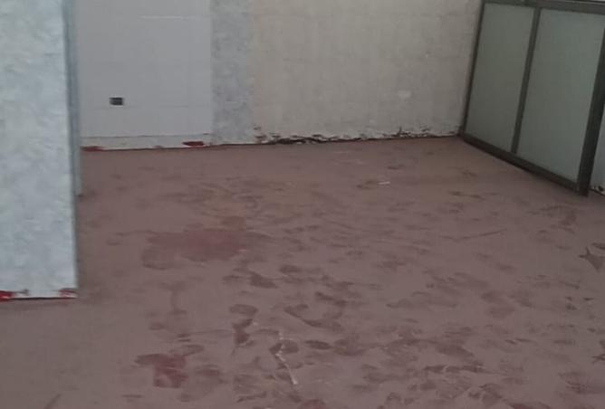 66439221 - Property Image 2
