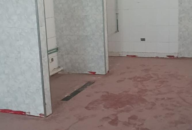 66439221 - Property Image 3