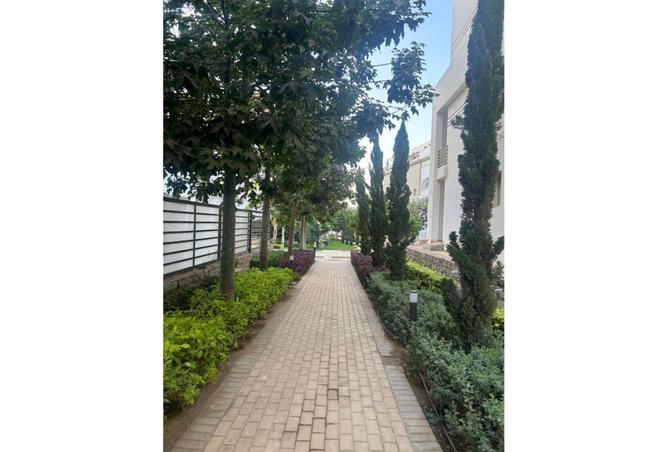 89897917 - Property Image 3