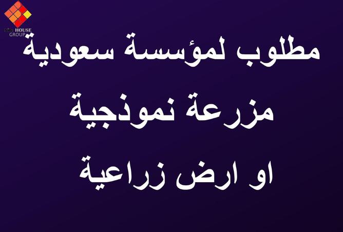 74855580 - صورة العقار 3