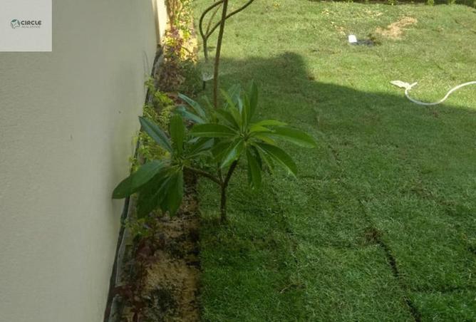 100079432 - صورة العقار 2