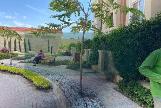 8390654 - صورة العقار 3