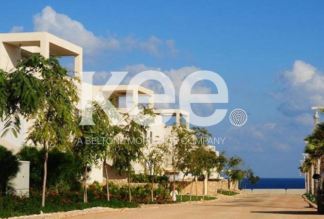 8680409 - صورة العقار 3