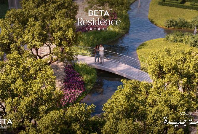 8620302 - صورة العقار 3