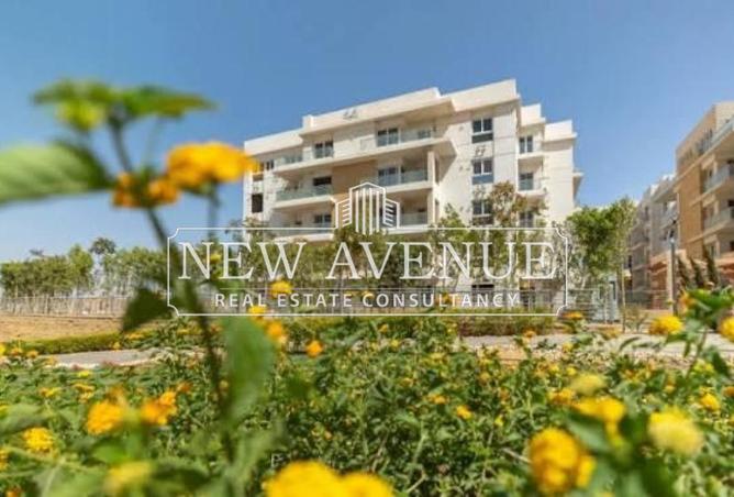 61197908 - صورة العقار 3