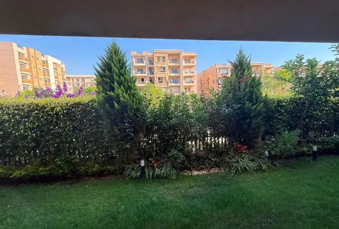 109637926 - Property Image 3