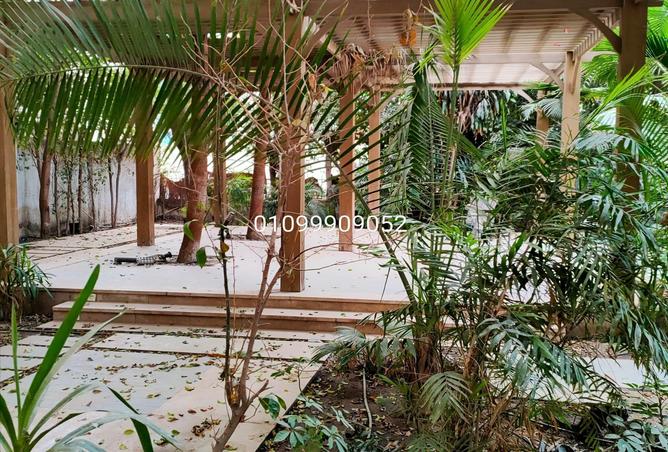 61680678 - Property Image 3