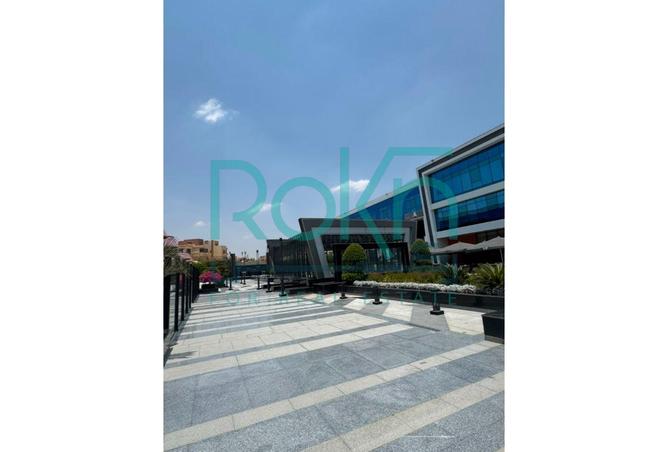 99810241 - صورة العقار 2