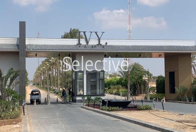 65913315 - Property Main Image