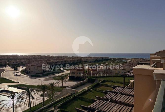 80265800 - صورة العقار 3