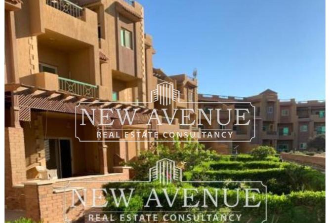 66424344 - Property Image 3