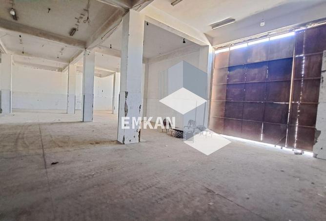 55498328 - Property Image 3