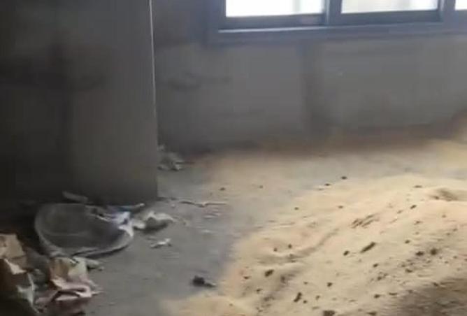 56502244 - Property Image 3