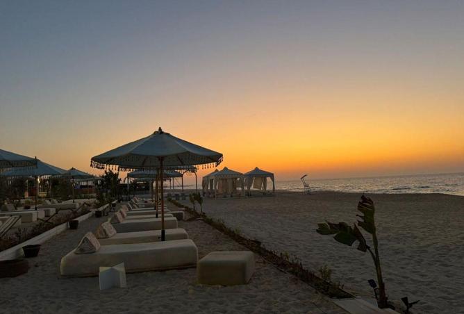 70362500 - صورة العقار 2