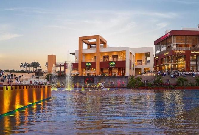 65159646 - Property Image 2