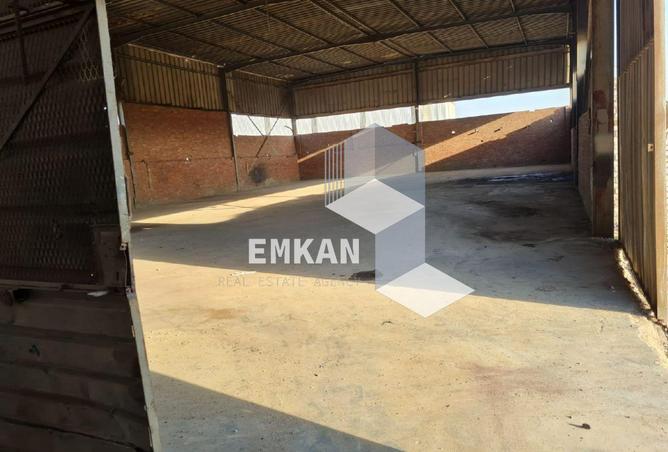 55498329 - Property Image 3