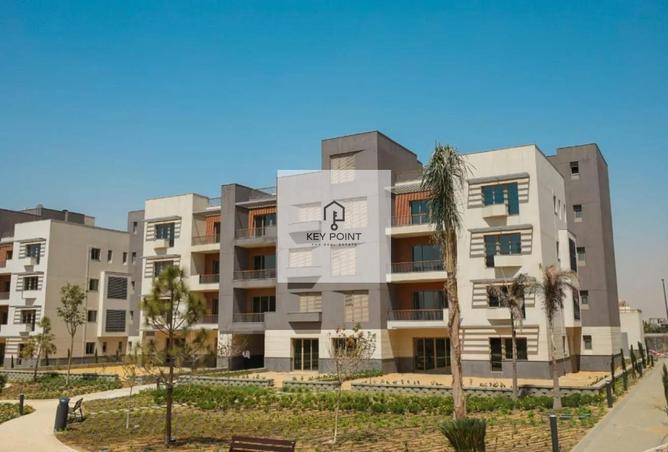 52448842 - Property Image 2