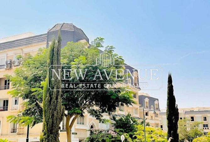 8677628 - Property Image 3