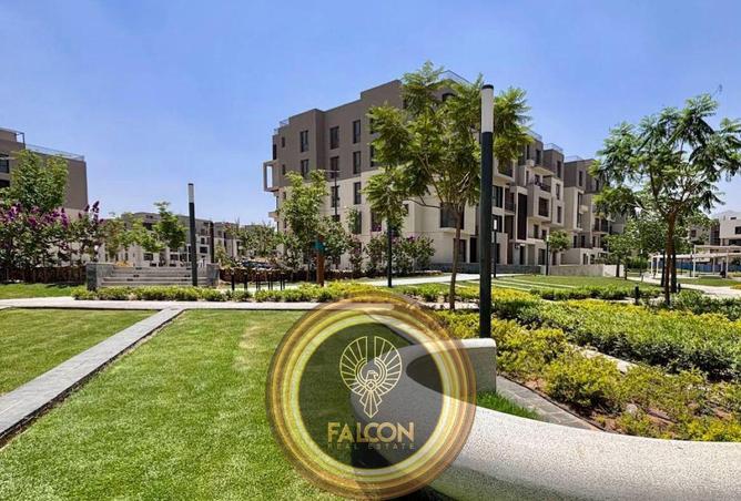 57252408 - صورة العقار 3