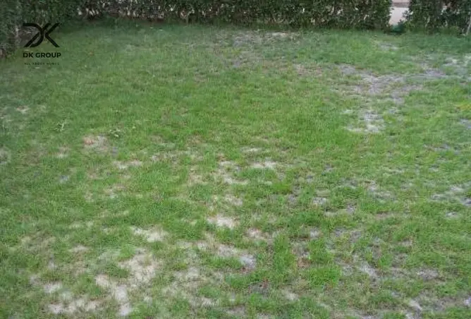 85597134 - Property Image 3
