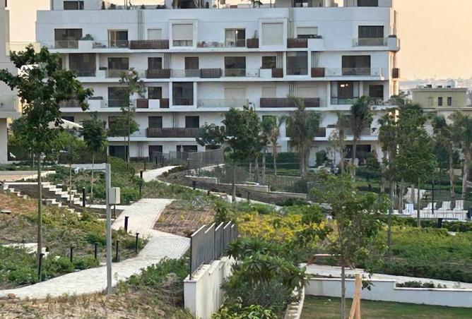 53726139 - صورة العقار 3